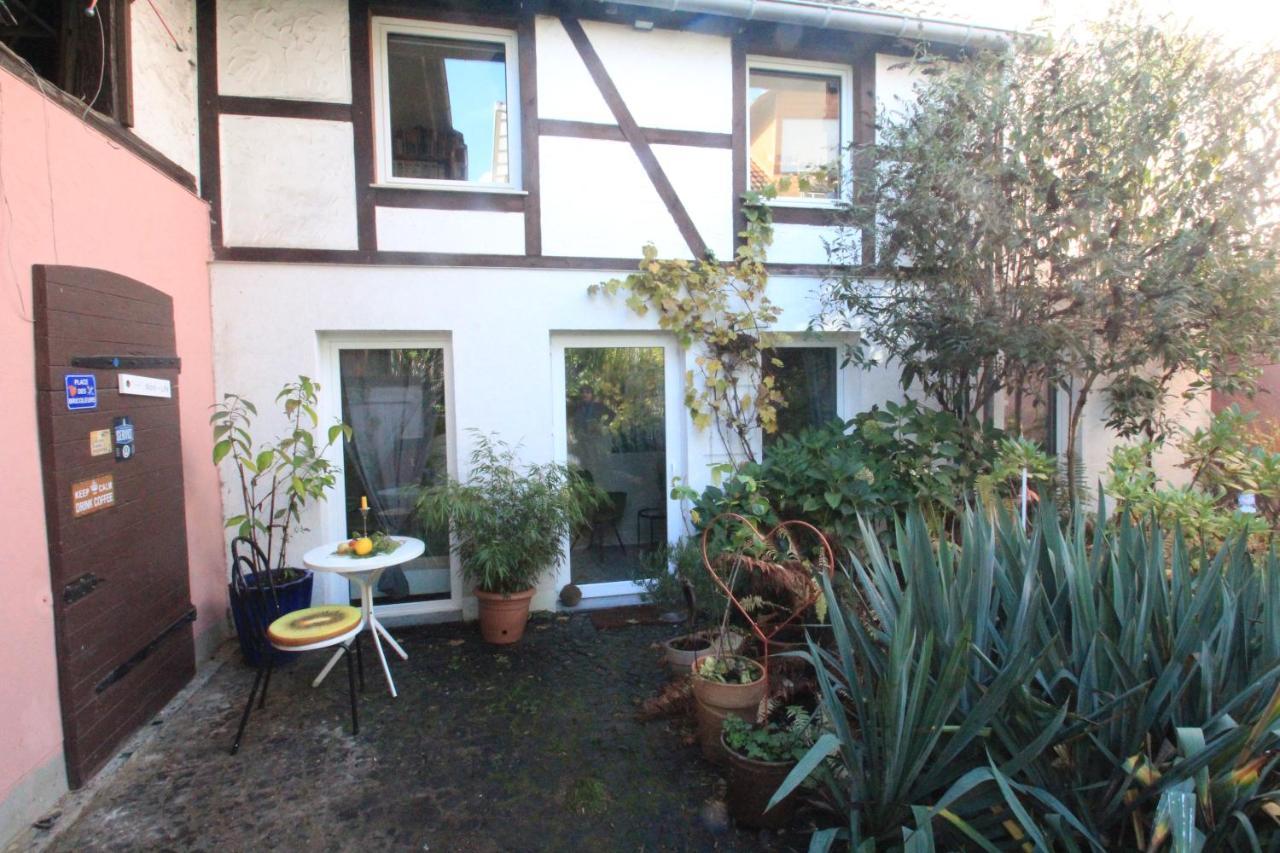 Maison No.9 Rosbach vor der Hohe ภายนอก รูปภาพ